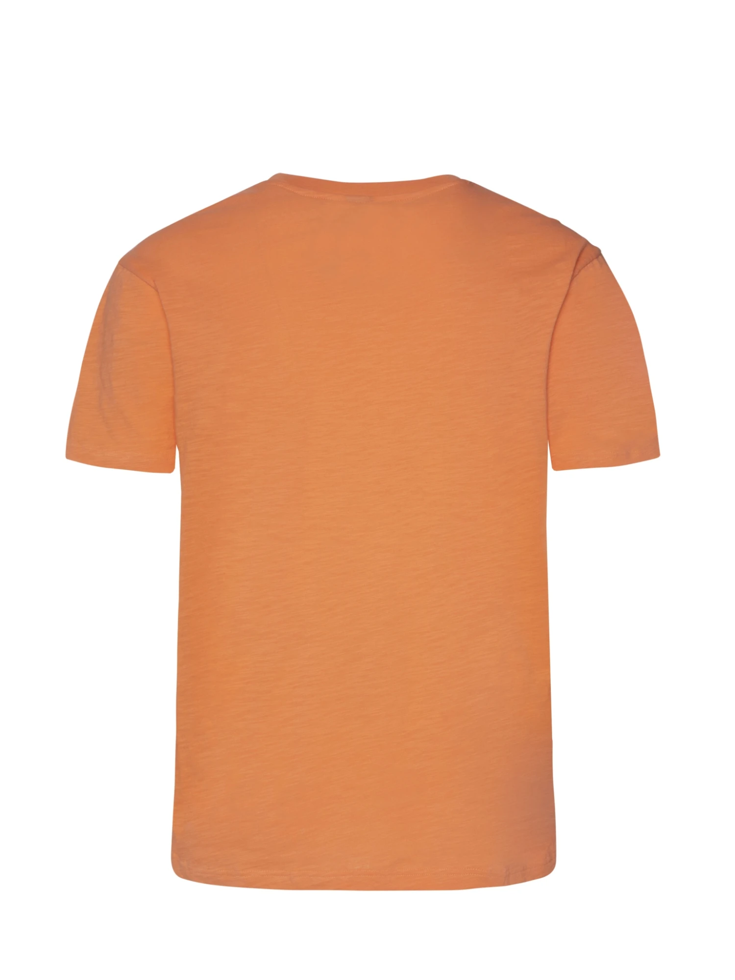 Protest T-Shirt 10645555 2 Protest T-Shirt 10645555 – Bild 2