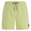Protest PRTYESSINE Beachshort 10683401