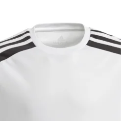 Adidas Squadra 21 Trikot Fußball 10704780 -Woehrl Online Shop GN5738 5 APPAREL Photography Detail View 2 transparent