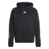 Adidas Train Icons 3-Streifen Training Hoodie 10680761